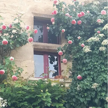 Peaceful In Saint-jory *